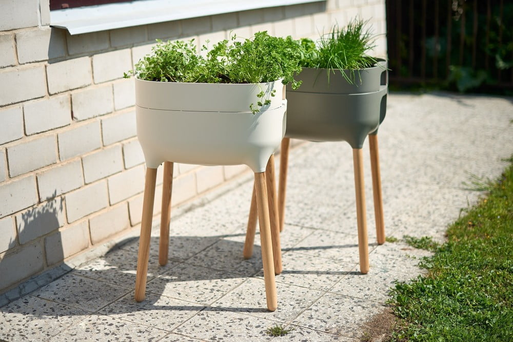 Inspiratsioon: Aiad, Aed